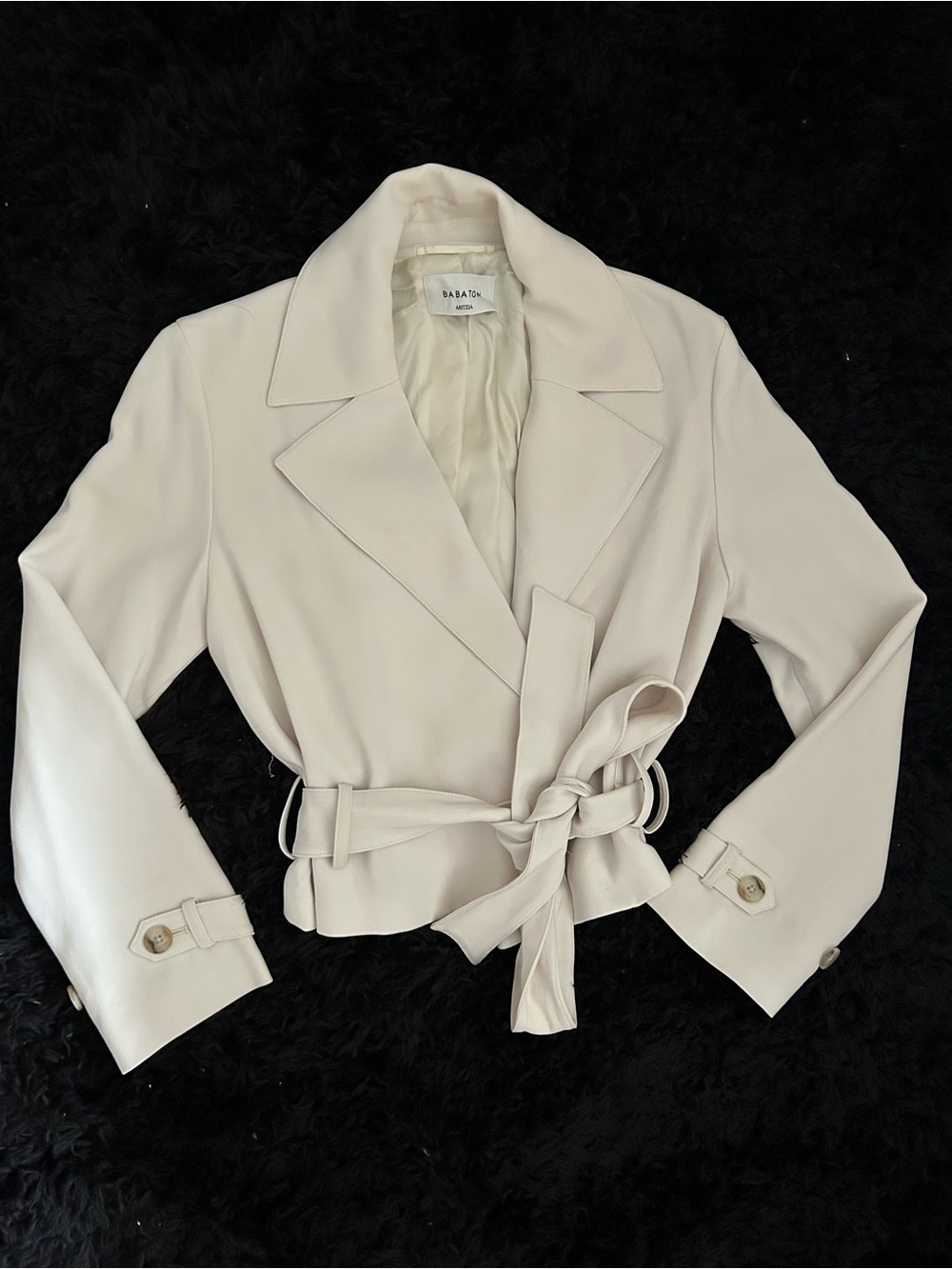 Aritzia Postage Trench Coat